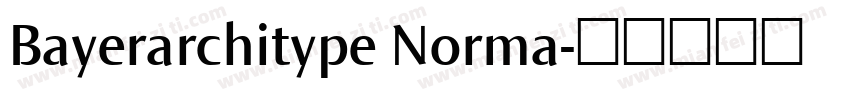 Bayerarchitype Norma字体转换